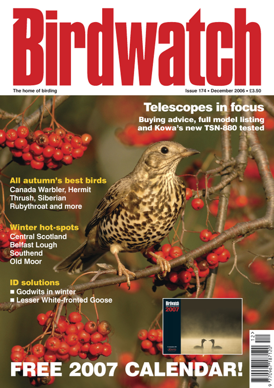 Birdwatch Magazine Preview Pages
