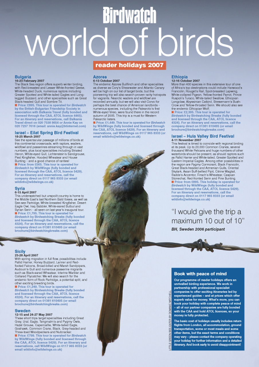 Birdwatch Magazine Preview Pages