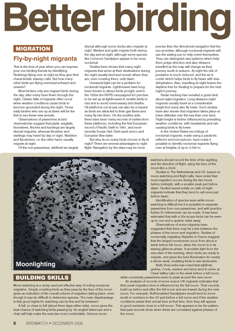 Birdwatch Magazine Preview Pages