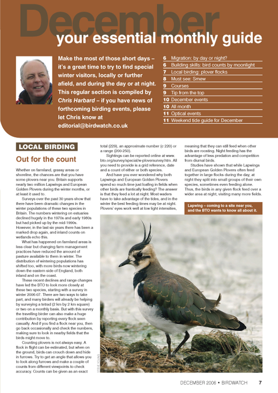 Birdwatch Magazine Preview Pages
