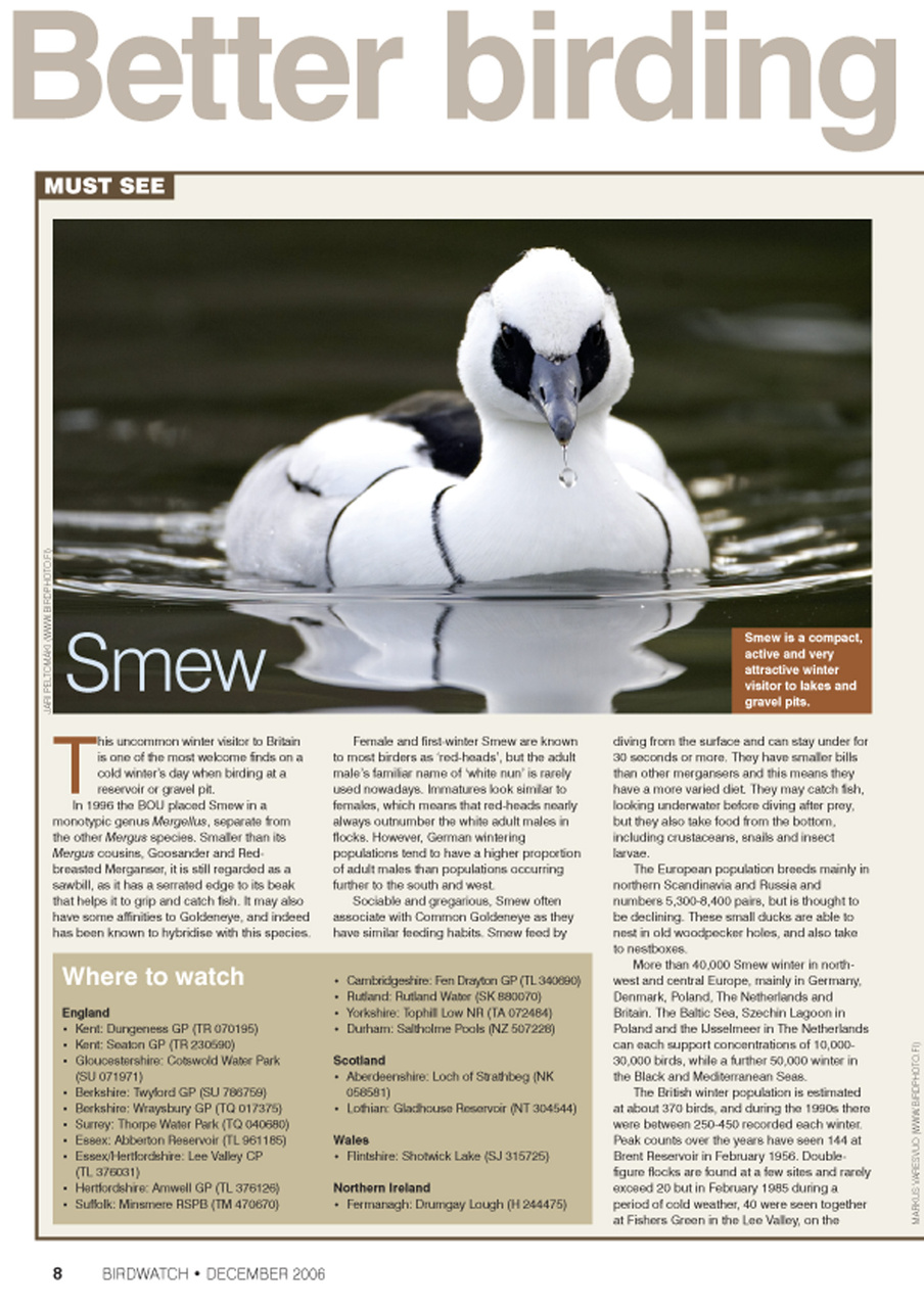 Birdwatch Magazine Preview Pages