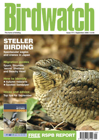 Birdwatch Magazine issue September 2006