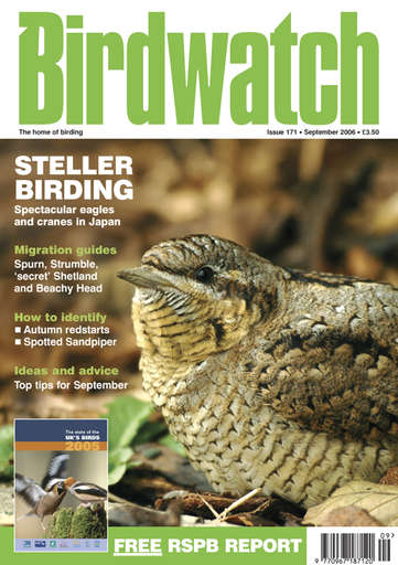 Birdwatch Magazine issue 