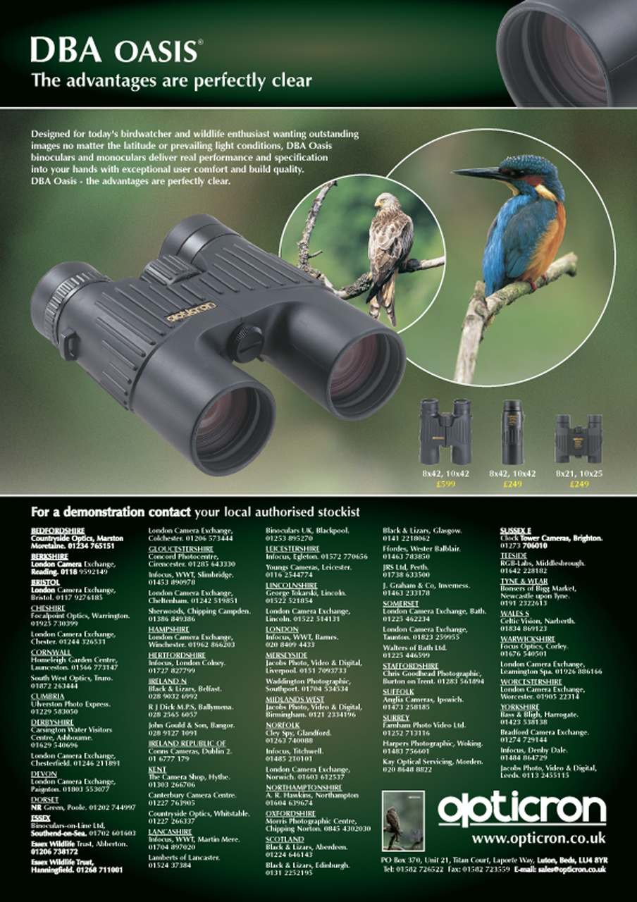 Birdwatch Magazine Preview Pages