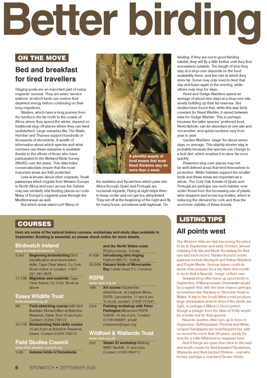 Birdwatch Magazine Preview Pages