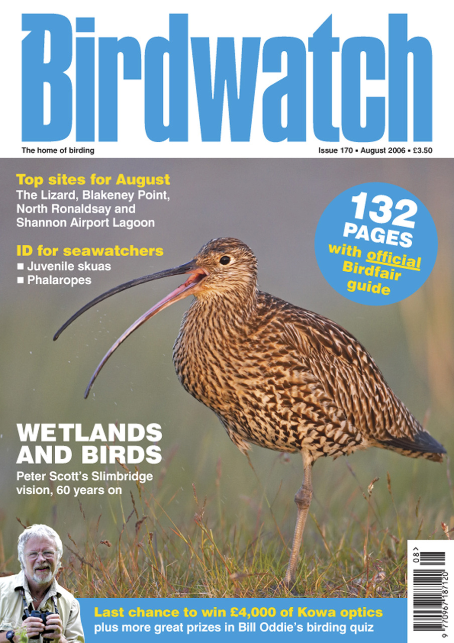 Birdwatch Magazine Preview Pages