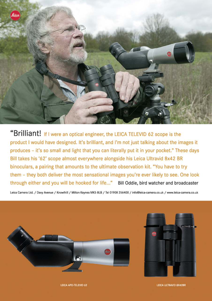 Birdwatch Magazine Preview Pages