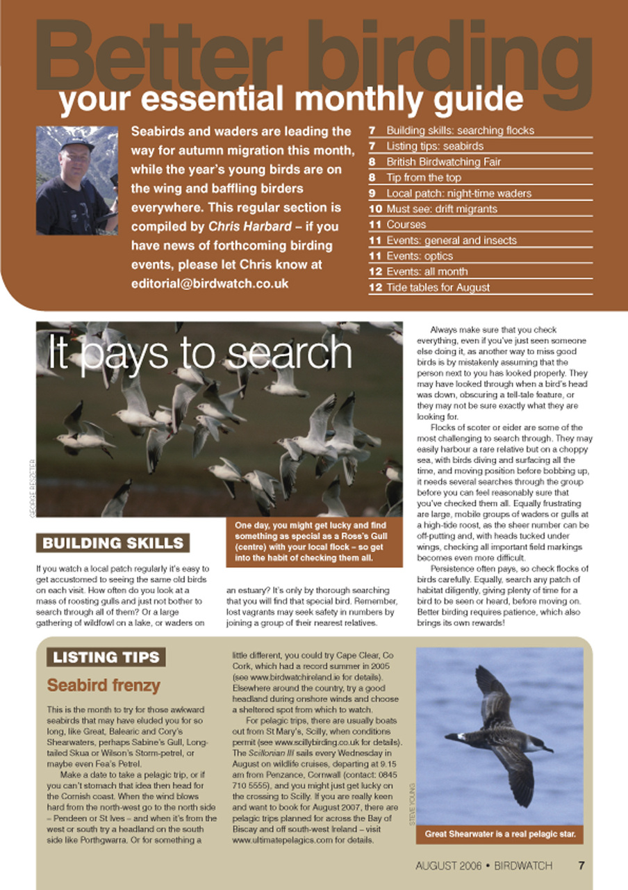 Birdwatch Magazine Preview Pages