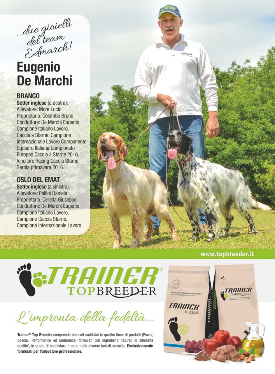 La Gazzetta Della Cinofilia Venatoria Preview Pages