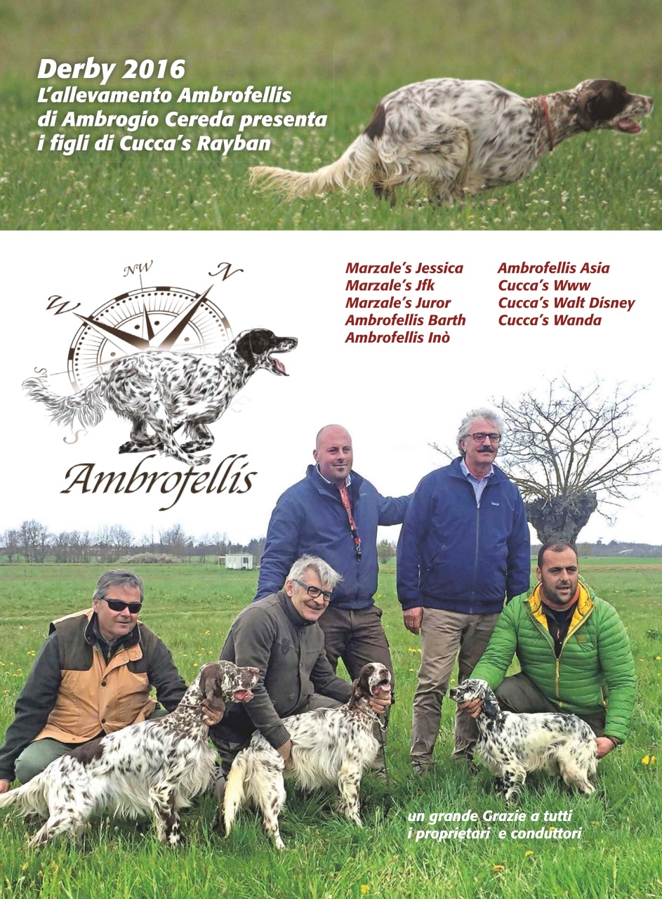 La Gazzetta Della Cinofilia Venatoria Preview Pages