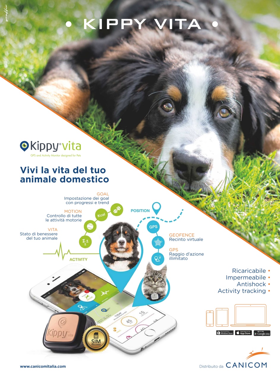 La Gazzetta Della Cinofilia Venatoria Preview Pages