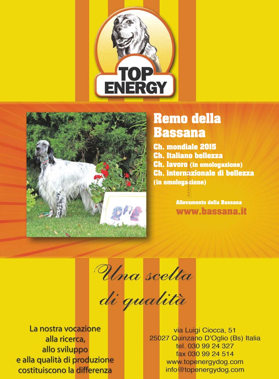 La Gazzetta Della Cinofilia Venatoria Preview Pages