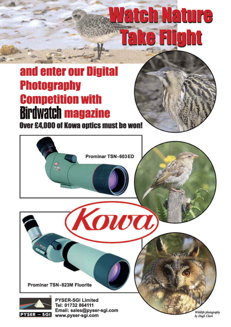 Birdwatch Magazine Preview Pages