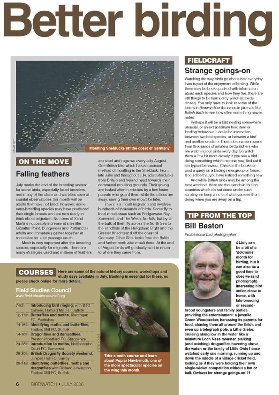 Birdwatch Magazine Preview Pages