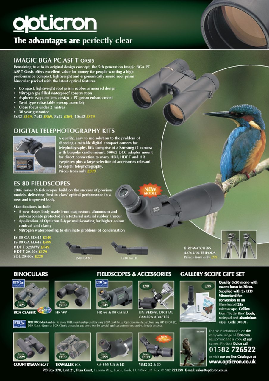 Birdwatch Magazine Preview Pages