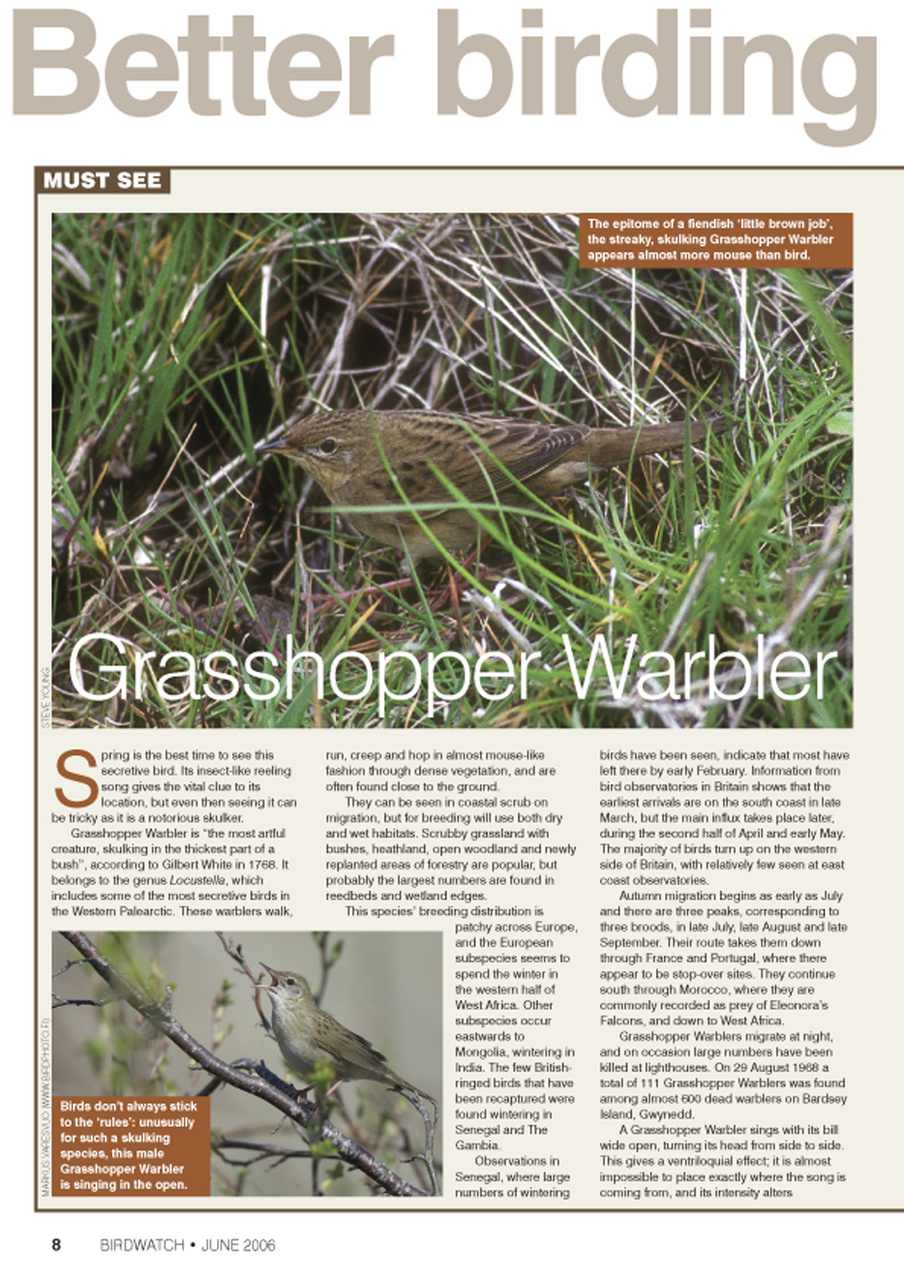 Birdwatch Magazine Preview Pages