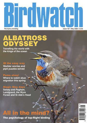Birdwatch Magazine issue 