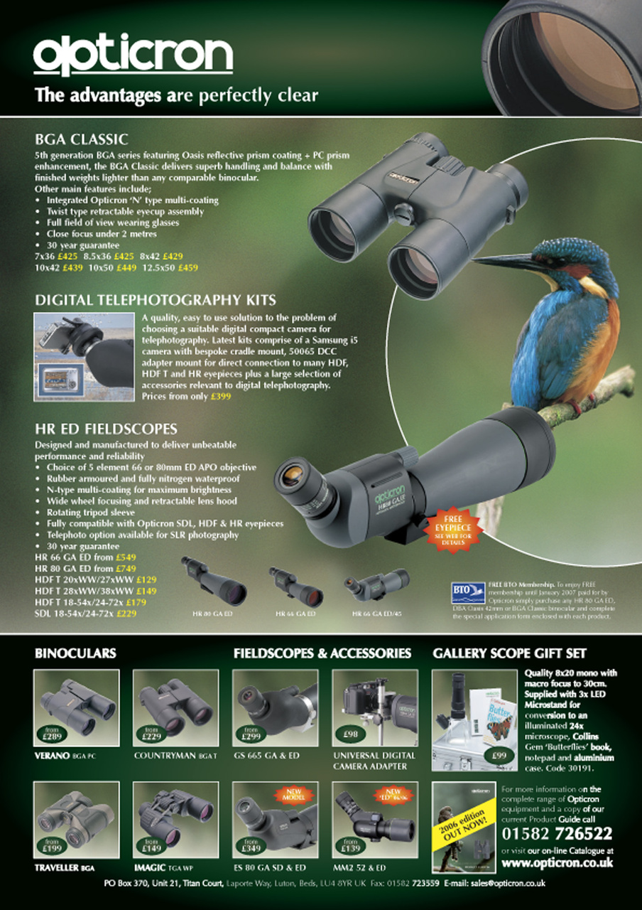 Birdwatch Magazine Preview Pages