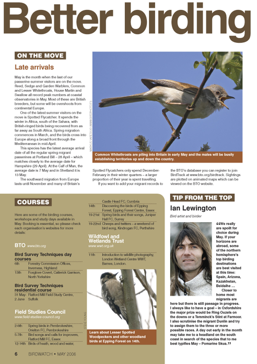 Birdwatch Magazine Preview Pages