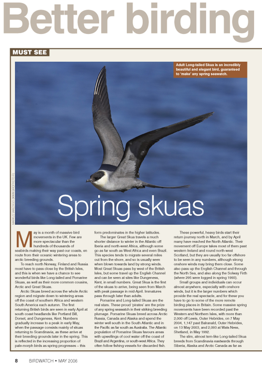 Birdwatch Magazine Preview Pages