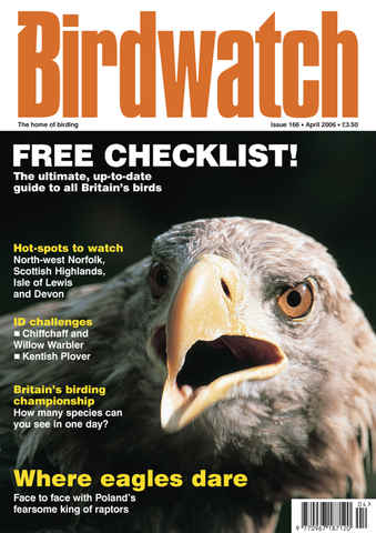 Birdwatch Magazine issue April 2006