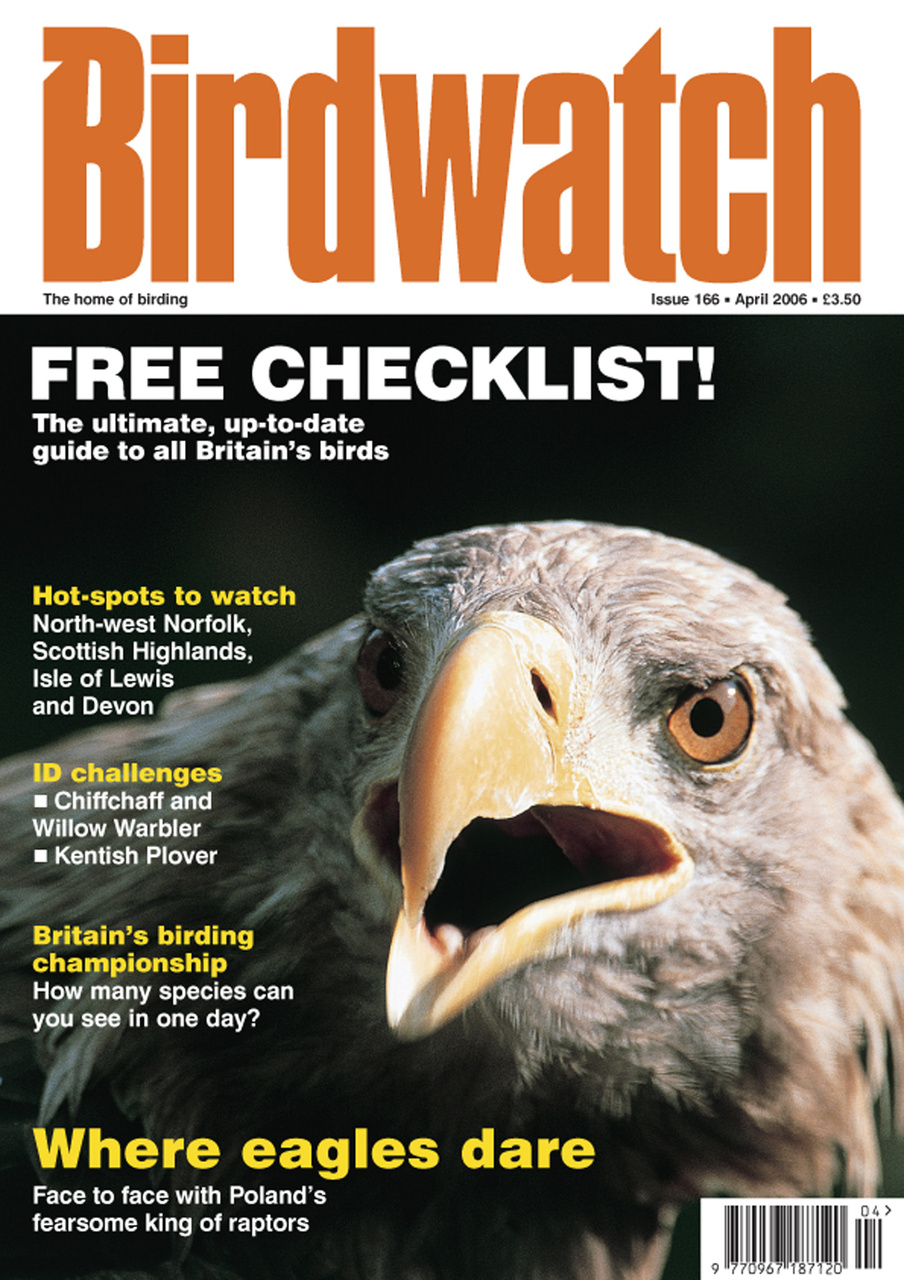 Birdwatch Magazine Preview Pages