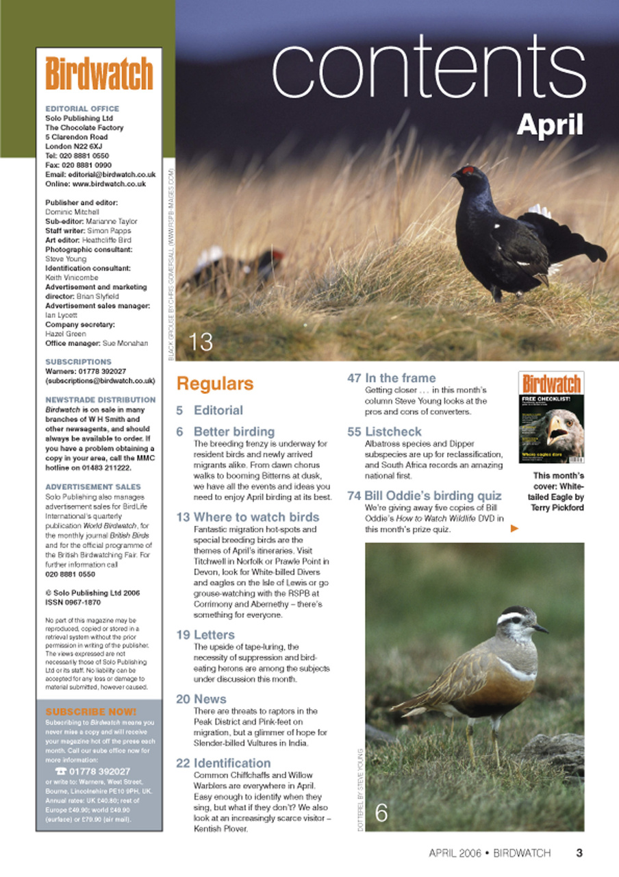 Birdwatch Magazine Preview Pages