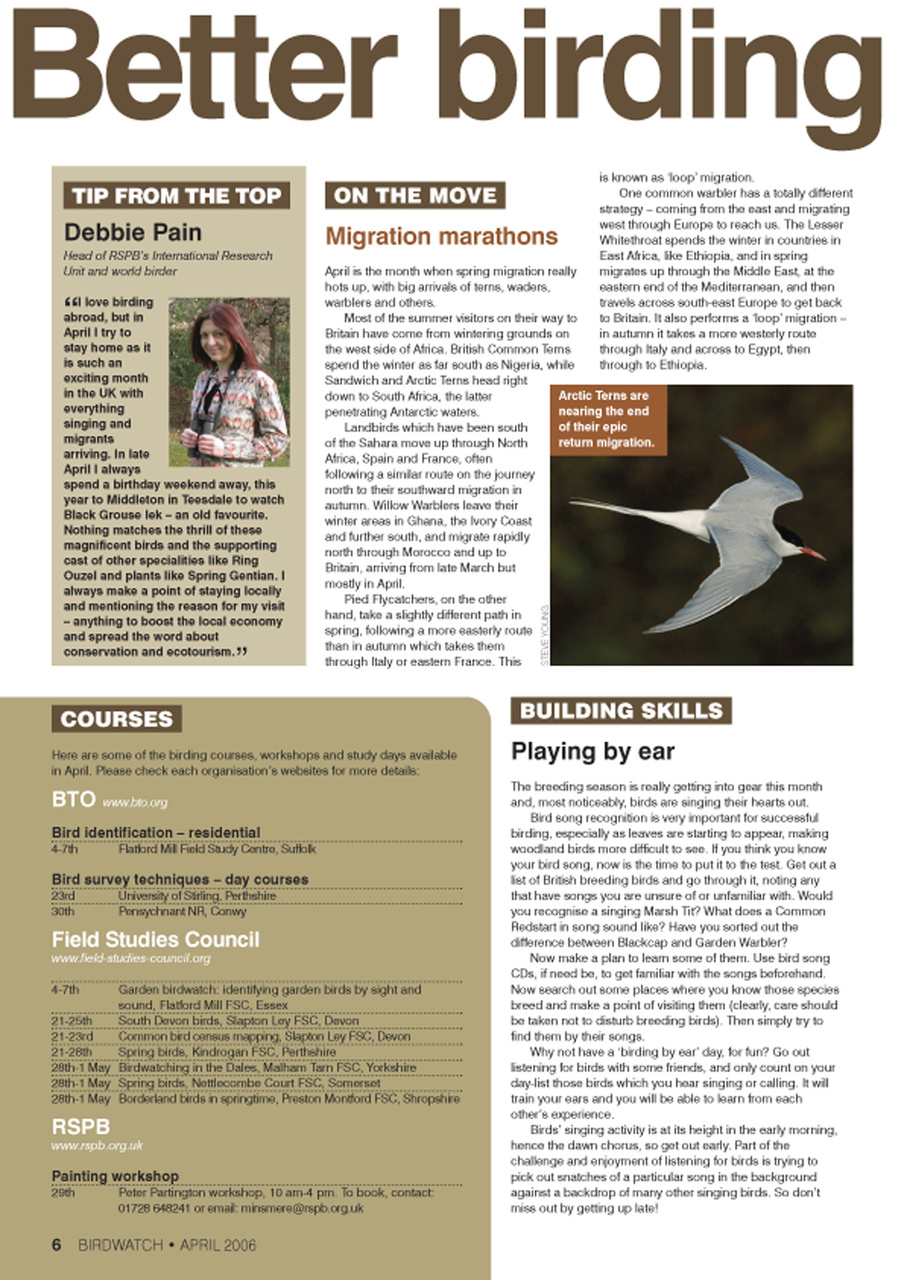 Birdwatch Magazine Preview Pages