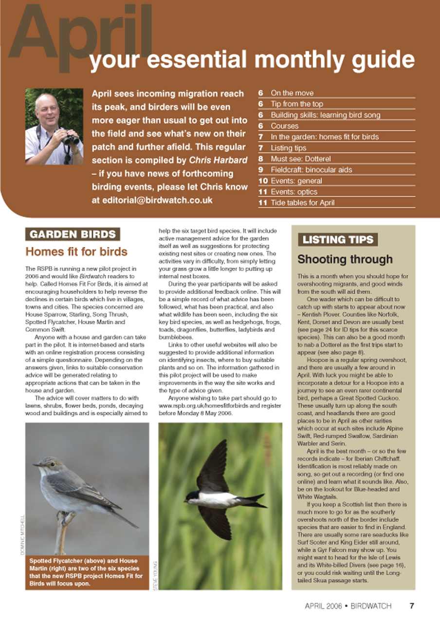 Birdwatch Magazine Preview Pages
