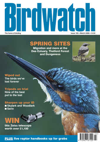 Birdwatch Magazine issue March 2006