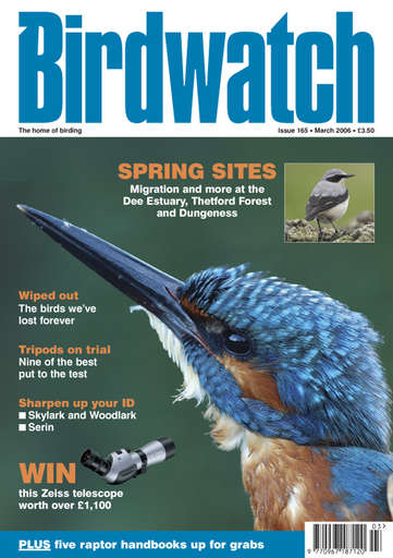 Birdwatch Magazine issue 