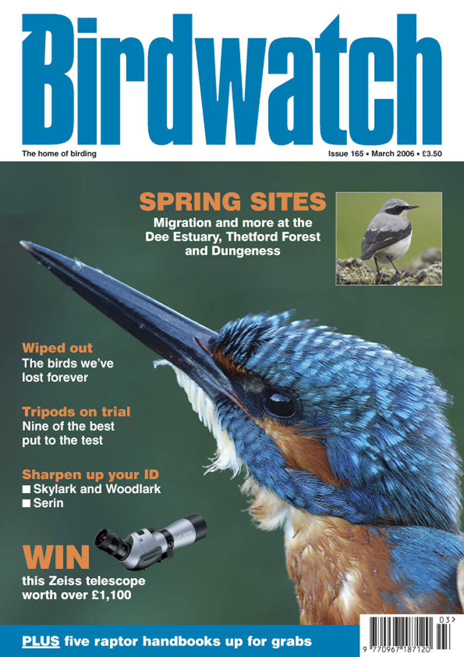 Birdwatch Magazine Preview Pages