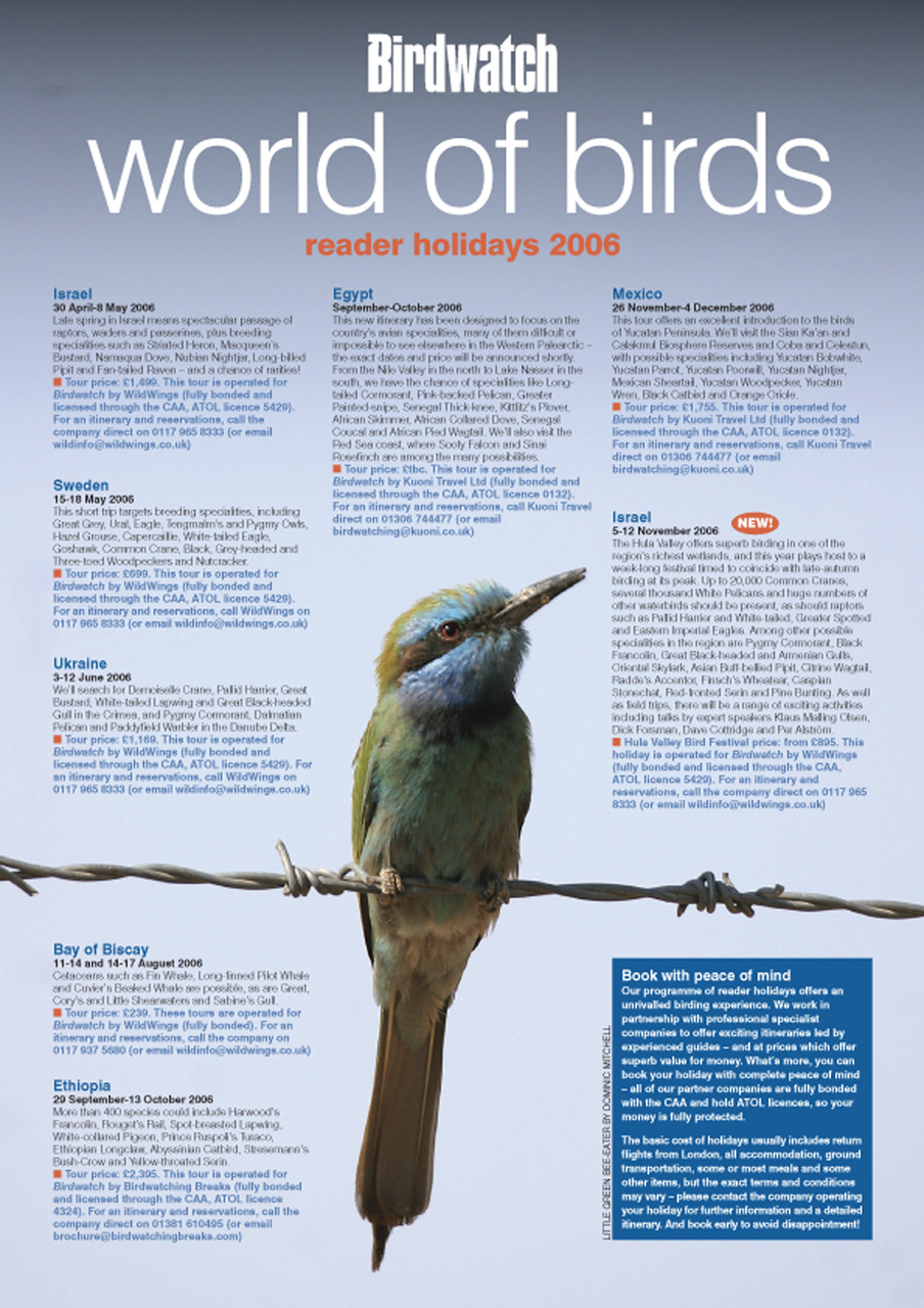Birdwatch Magazine Preview Pages