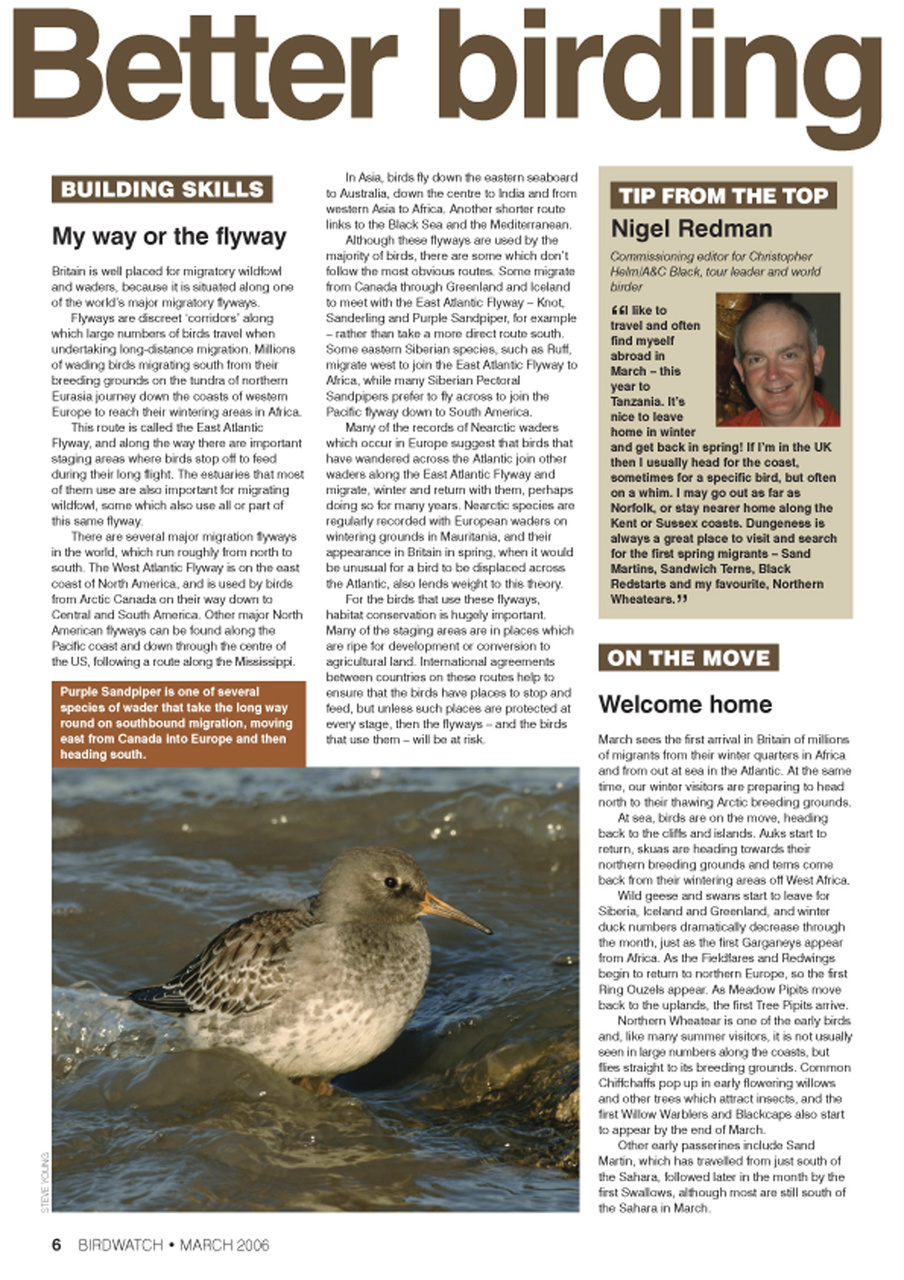 Birdwatch Magazine Preview Pages