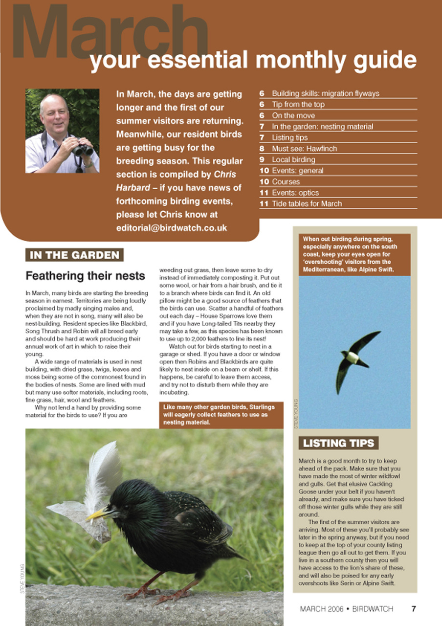 Birdwatch Magazine Preview Pages