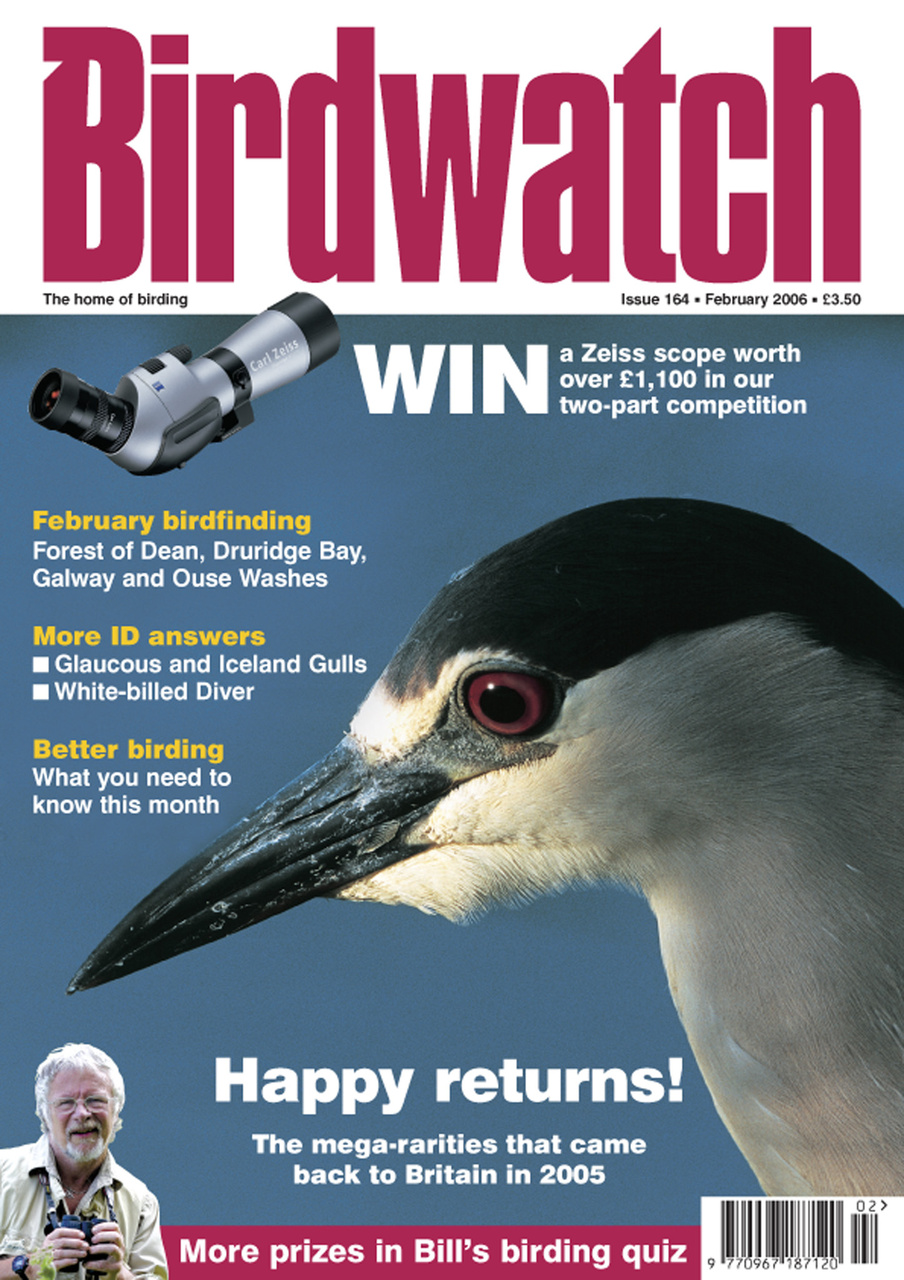 Birdwatch Magazine Preview Pages