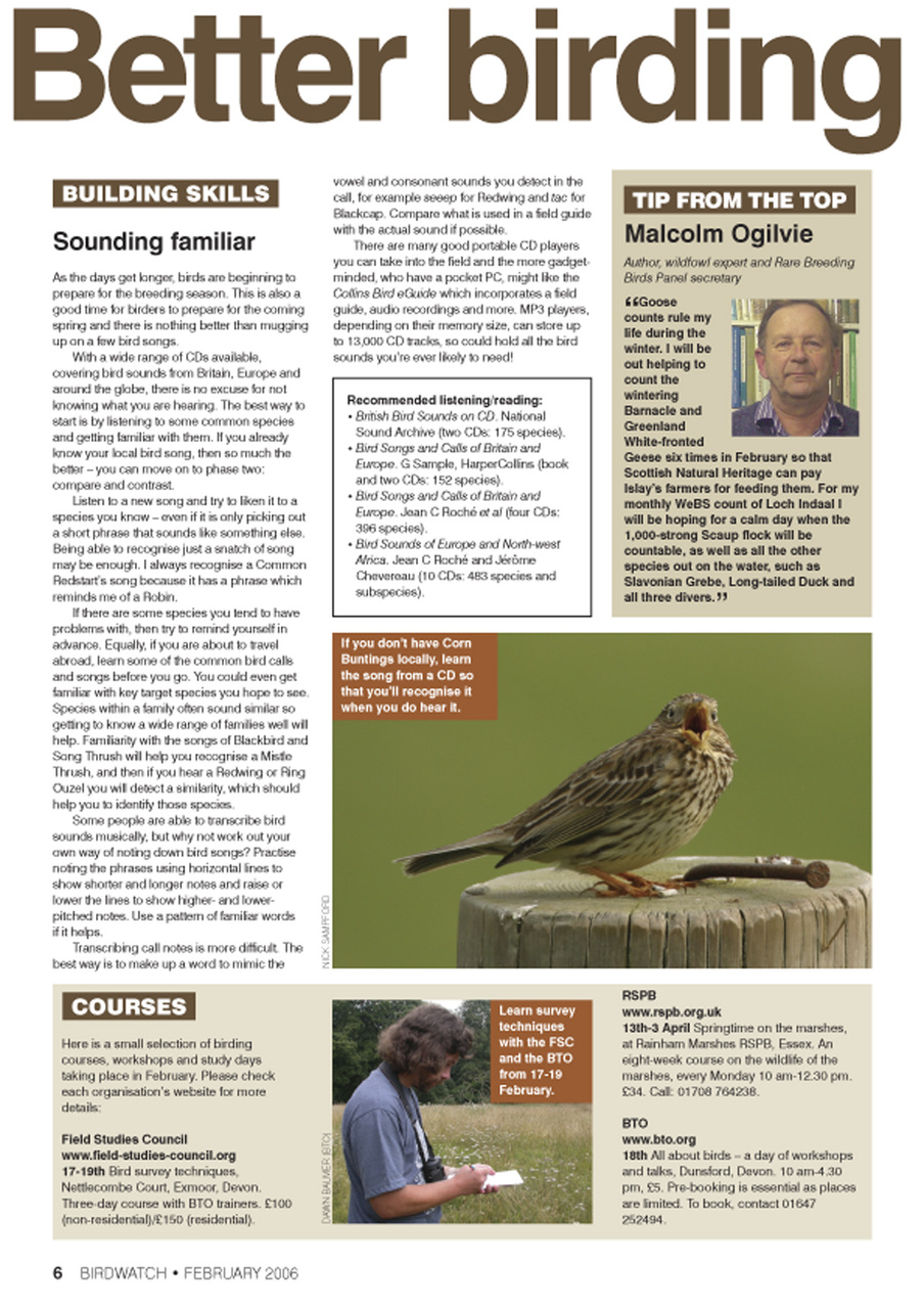 Birdwatch Magazine Preview Pages
