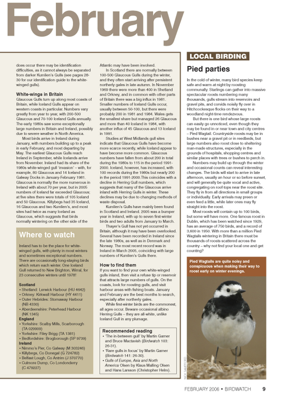 Birdwatch Magazine Preview Pages