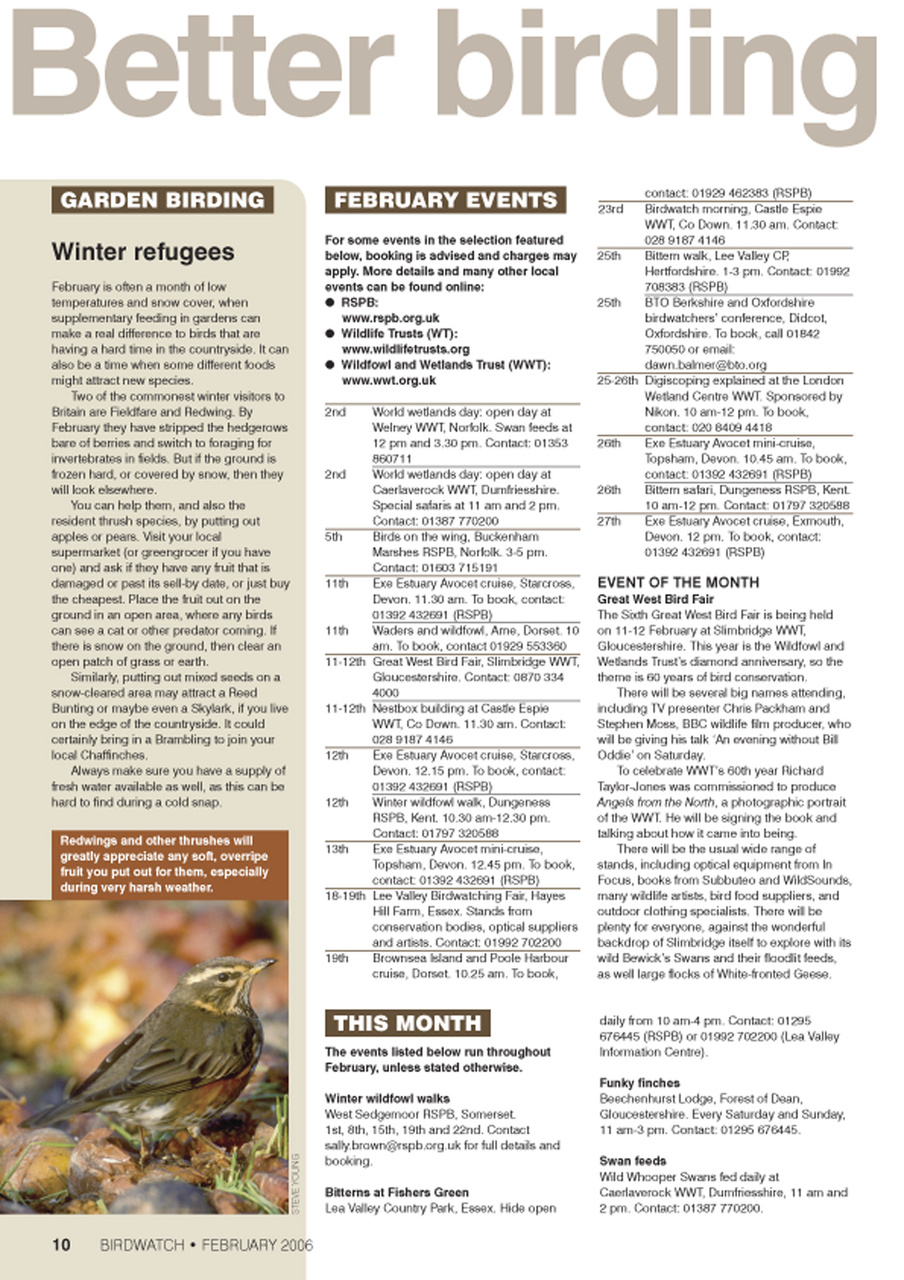 Birdwatch Magazine Preview Pages