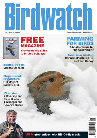 Birdwatch Magazine issue January 2006