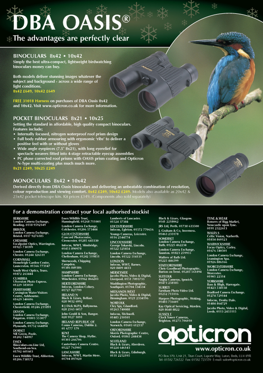 Birdwatch Magazine Preview Pages