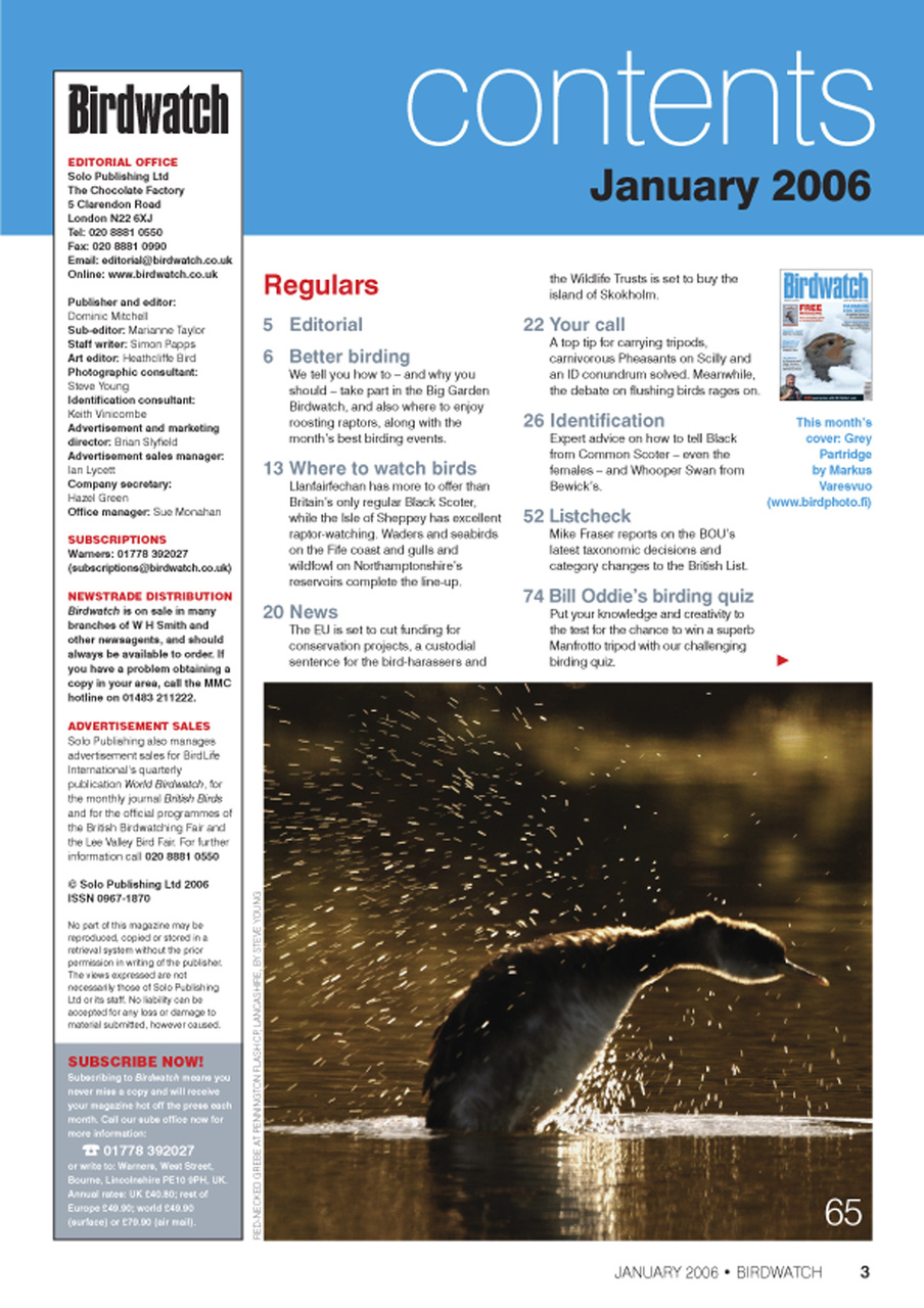 Birdwatch Magazine Preview Pages