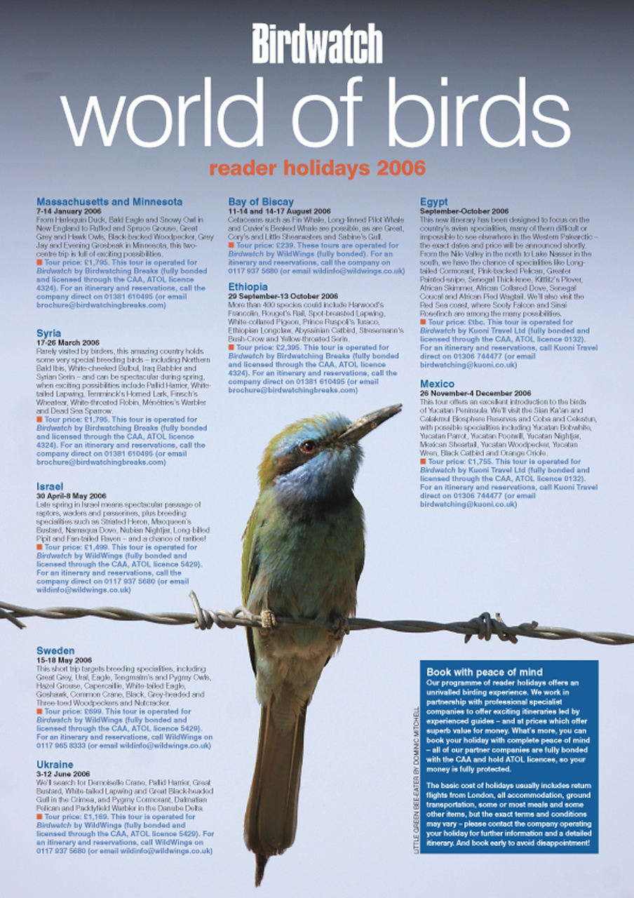 Birdwatch Magazine Preview Pages