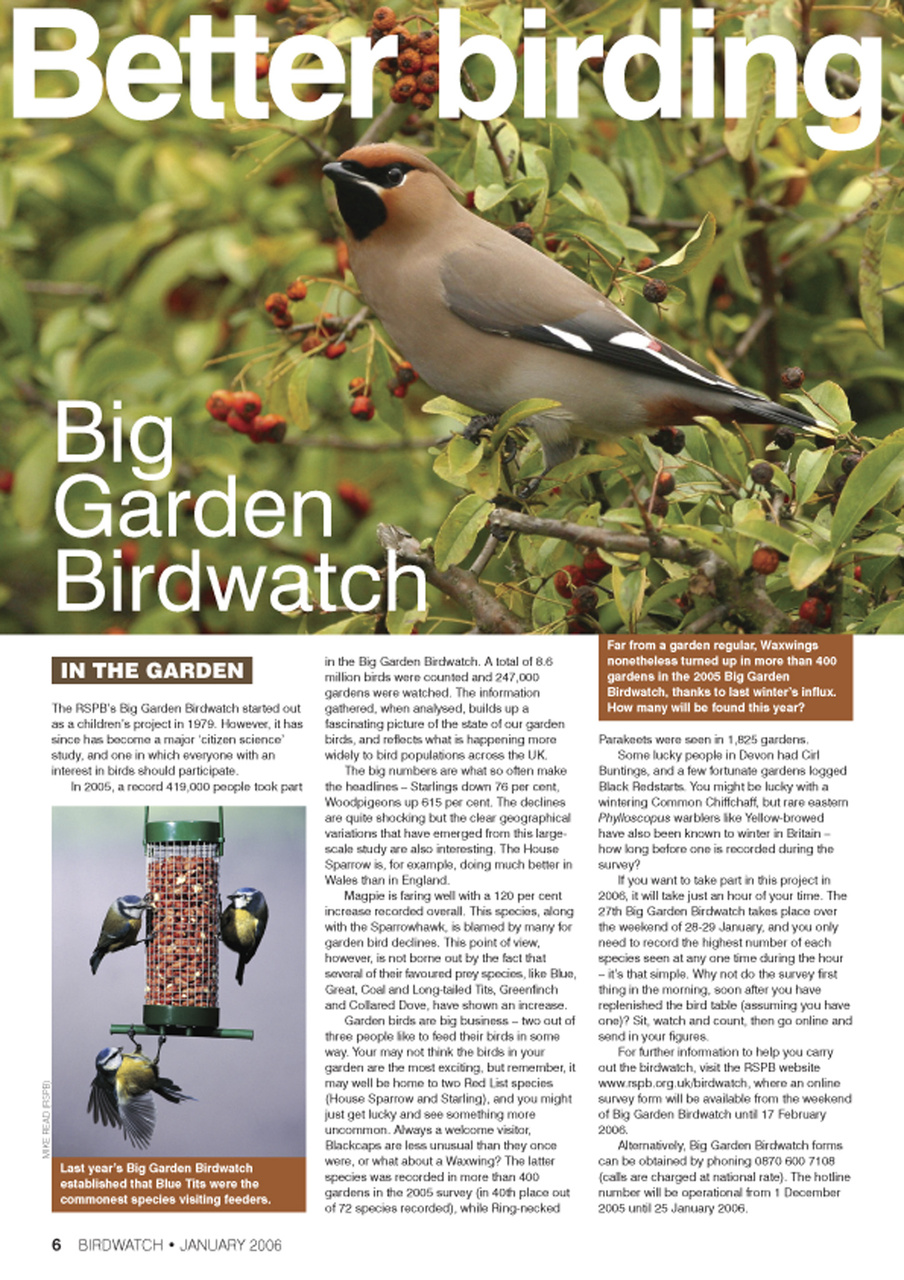 Birdwatch Magazine Preview Pages