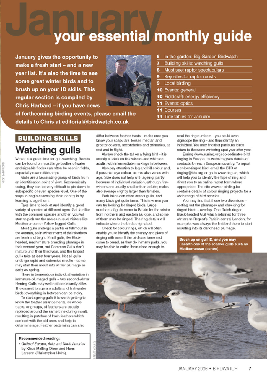 Birdwatch Magazine Preview Pages