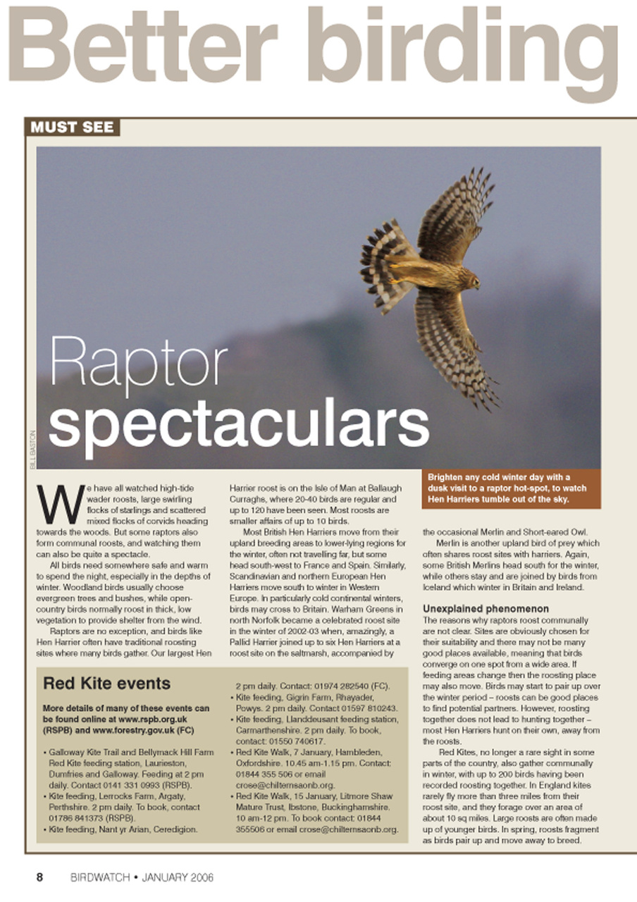 Birdwatch Magazine Preview Pages