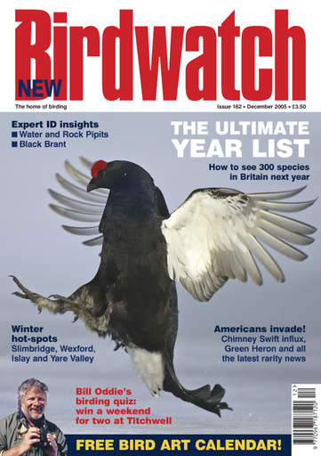 Birdwatch Magazine issue 