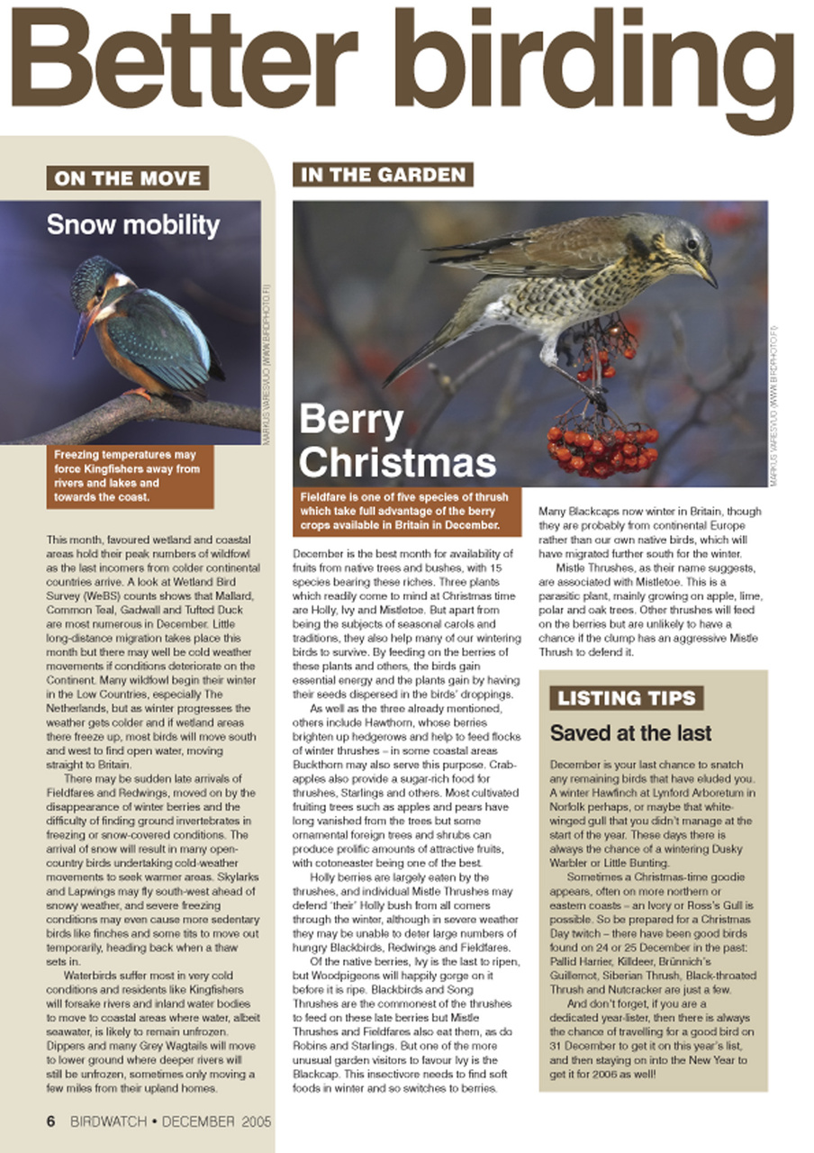 Birdwatch Magazine Preview Pages