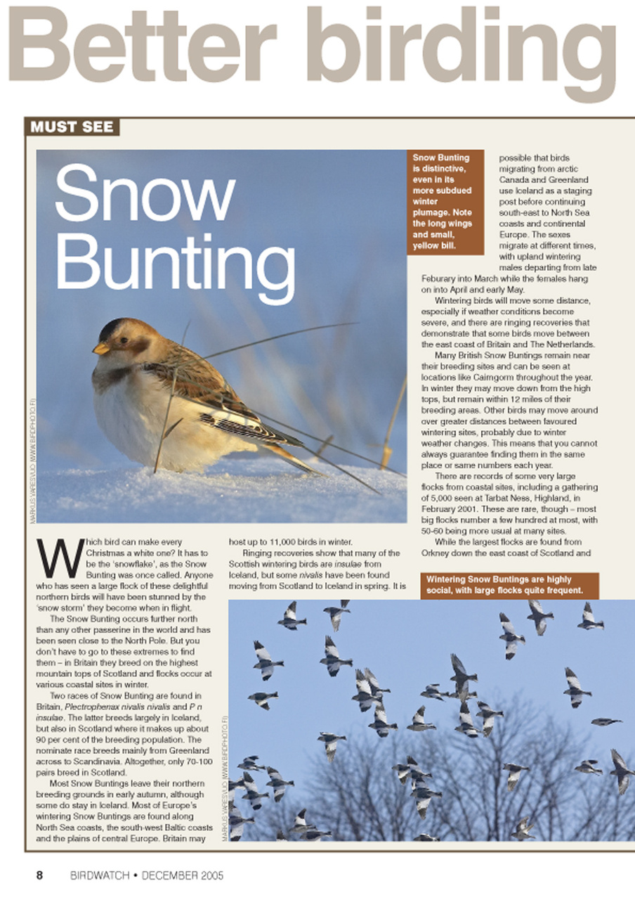 Birdwatch Magazine Preview Pages