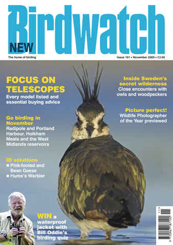 Birdwatch Magazine issue November 2005